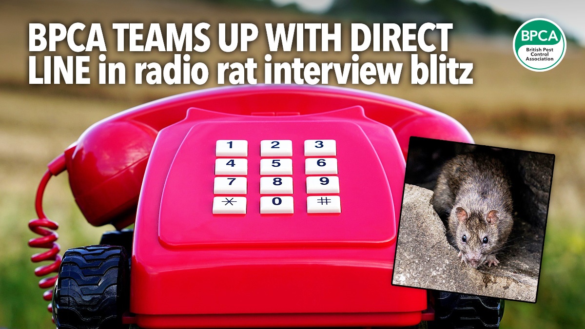 BPCA-teams-up-with-Direct-Line-in-radio-interviews BPCA-teams-up-with-Direct-Line-in-radio-interviews